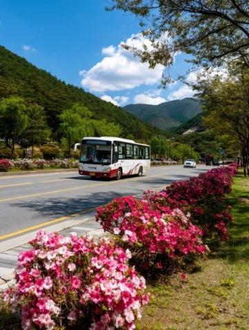 深圳坪山沙田到惠陽的公交車(由深圳坪山沙田地鐵站開往惠陽天虹的M425路公交車)