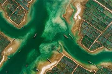 山東威海榮成:海帶包子的極致鮮美之旅