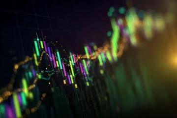 歷史會記住今天，十個點以上漲幅比比皆是，獨一份