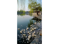 杭州攻略5天4晚費(fèi)用(杭州5天4夜1500元預(yù)算攻略)