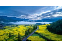 探訪巴中市南江縣的158號地標(biāo)景點