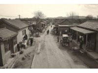 濰坊，一座安靜的奇跡