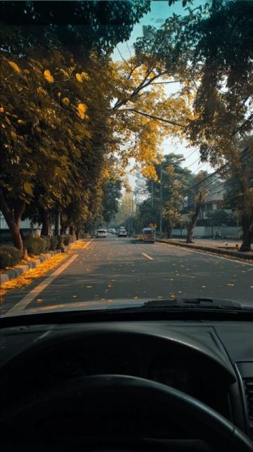 詳解各國道路車道劃分與行駛規(guī)則必看！