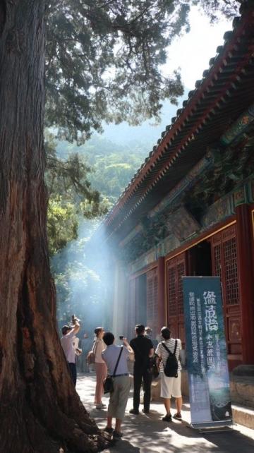 探尋佛山魅力：嶺南文化圣地，祖廟美景隨行攝錄