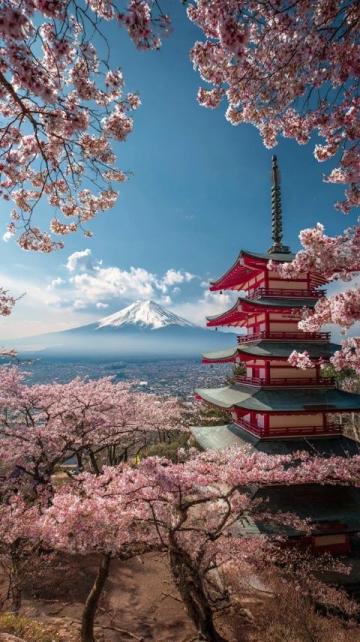 2025日本旅行攻略解鎖新玩法與經典體驗