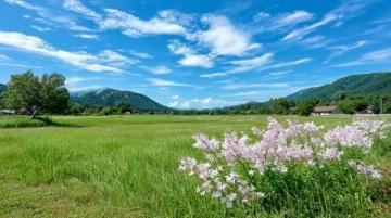 土地性質(zhì)劃分(土地性質(zhì)常識(shí))