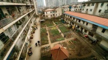 洛陽科大周邊美食街(龍翔街小吃聚集地)