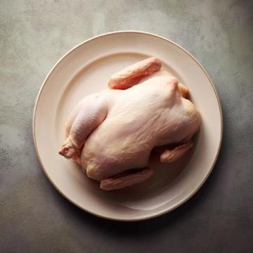 雞肉品種之爭(zhēng)：麻雞VS普通雞