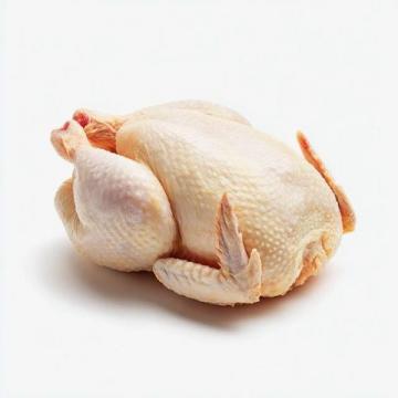 雞肉品種之爭(zhēng)：麻雞VS普通雞