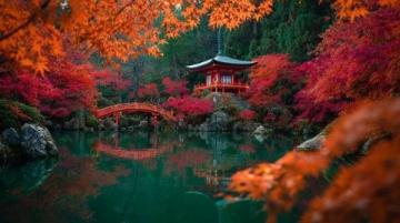 日本京都楓葉之旅第三天（上）