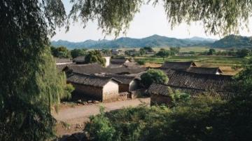 納溪小城之旅:品嘗特早茶、探索酒文化與美味佳肴