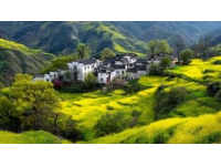 我在頭條曬家鄉(xiāng) 這個話題真好,我的家鄉(xiāng)是山東泗水的小山村。有古老歷史文化、五谷雜糧和長壽的老人……".