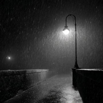 小雨再次淅瀝落下