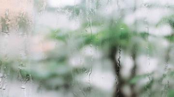 小雨再次淅瀝落下
