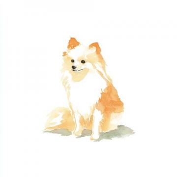 萌寵日記：云朵般柔軟的博美犬歡樂日常