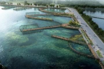 揭秘武漢熱門免費(fèi)釣點(diǎn)：南湖、青菱河、麻湖路等垂釣天堂