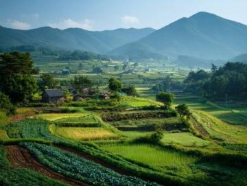 云南8日7晚跟團(tuán)游:美景美食雙享攻略