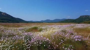 五一鶴壁1日游攻略：?？h古城、大伾山、濕地公園，吃喝玩樂全攻略！